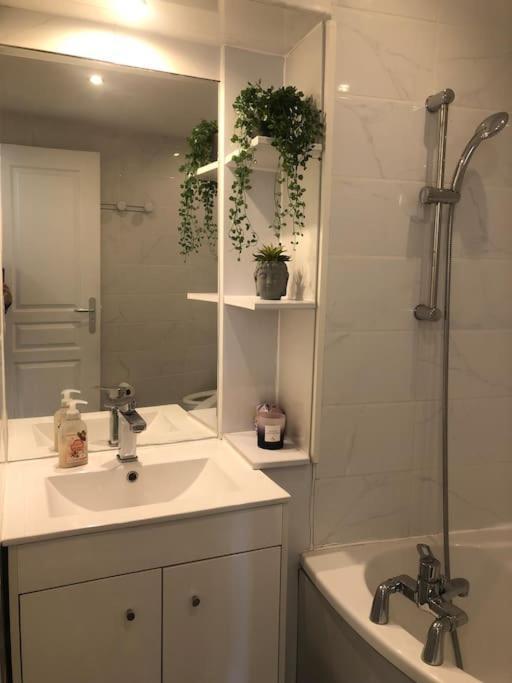 Studio Cosy En Plein Centre-Ville 戛纳 外观 照片